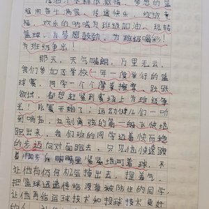 篮球训练心得体会300字作文怎么写的